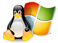 Windows and Linux Icon